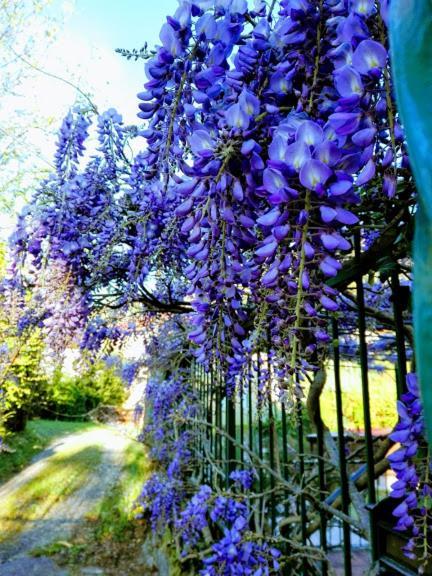 La Torretta bed&breakfast Torriglia Esterno foto